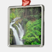 Ornement Métallique Chutes Sol Duc dans le parc national olympique à (Gauche)