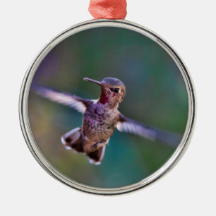 Ornement Métallique Colibri