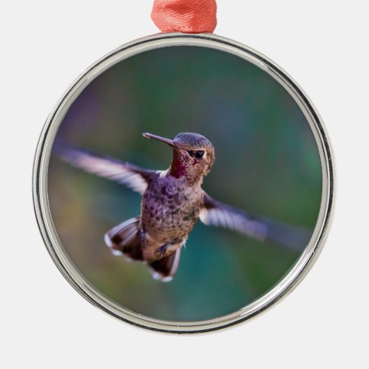 Ornement Métallique Colibri (Devant)