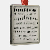 Ornement Métallique Collection de l'insecte de Darwin (Droite)