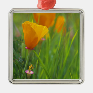 Ornement Métallique Coquelicots dorés de Californie dans un champ vert