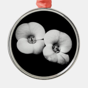 Ornement Métallique couronne d'épines