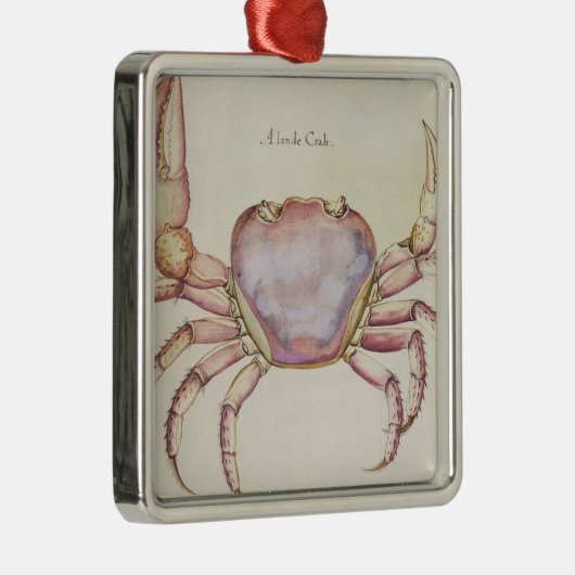 Ornement Métallique Crabe terrestre (Droite)