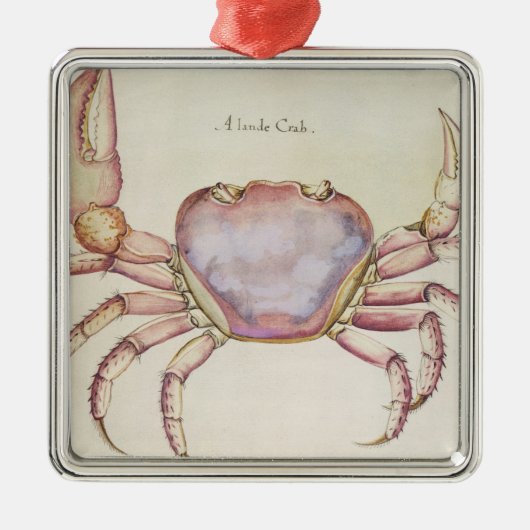 Ornement Métallique Crabe terrestre (Devant)