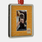 Ornement Métallique Dans des plusieurs décharges (Droite)