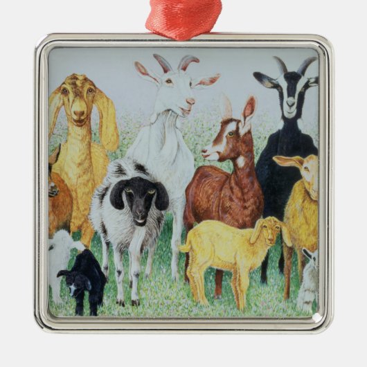 Ornement Métallique Dans le trèfle (Devant)