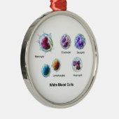 Ornement Métallique Diagramme des leucocytes de globules blancs (Droite)