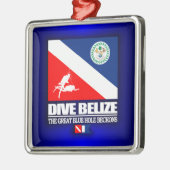 Ornement Métallique Dive Belize (Gauche)