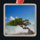 Ornement Métallique Divi Divi Divi Tree, Eagle Beach, Aruba, Caraïbes<br><div class="desc">DROIT D'AUTEUR Paul Thompson / Danita Delimont.com| CA04 PTH0005.jpg| Divi Divi Divi Tree,  Eagle Beach,  Aruba,  Caraïbes</div>