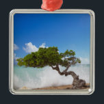 Ornement Métallique Divi Divi Divi Tree, Eagle Beach, Aruba, Caraïbes<br><div class="desc">DROIT D'AUTEUR Paul Thompson / Danita Delimont.com| CA04 PTH0005.jpg| Divi Divi Divi Tree,  Eagle Beach,  Aruba,  Caraïbes</div>