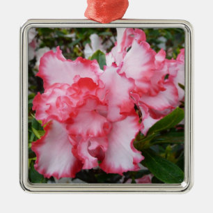Ornement Métallique Double rouge et blanc Azaleas printemps floral