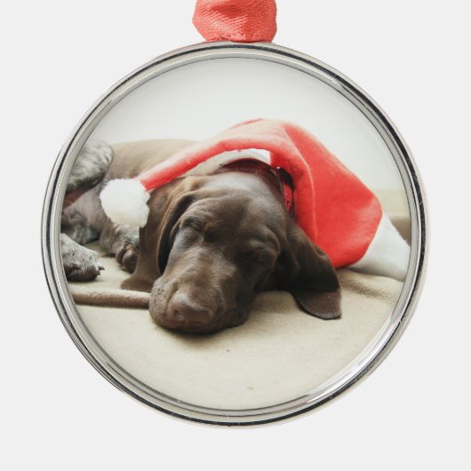 Ornement Métallique Dreaming of Santa (Devant)