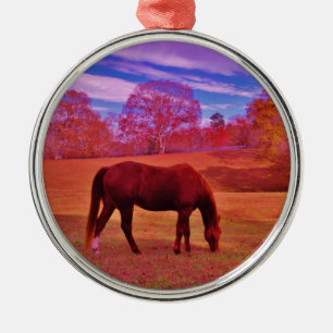 ORNEMENT MÉTALLIQUE DSCF0536.JPG