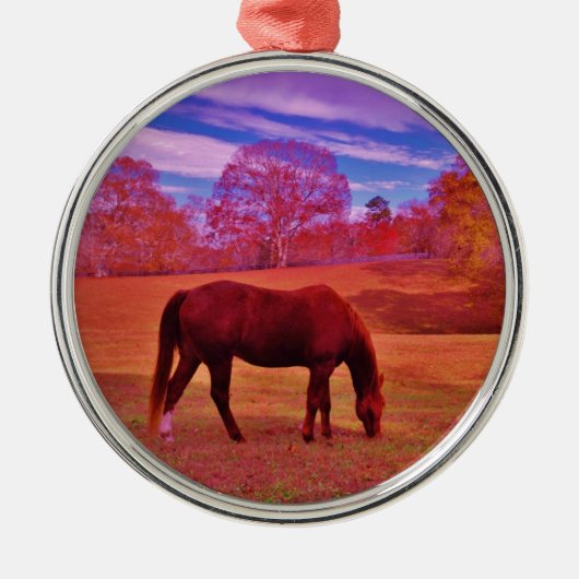 ORNEMENT MÉTALLIQUE DSCF0536.JPG (Devant)