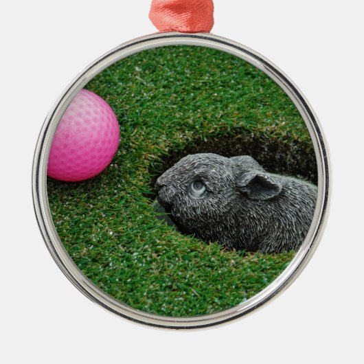 ORNEMENT MÉTALLIQUE DSCF0652.JPG (Devant)