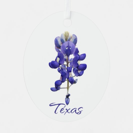 Ornement métallique du Texas Bluebonnet (Recto)