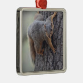 Ornement Métallique Écureuil de accrochage (Droite)