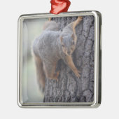 Ornement Métallique Écureuil de accrochage (Gauche)