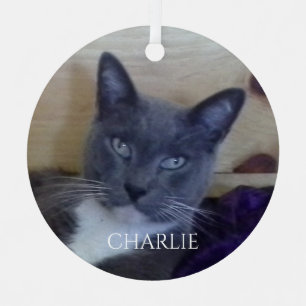 ORNEMENT MÉTALLIQUE EN FORME DE CERCLE PET LOVE