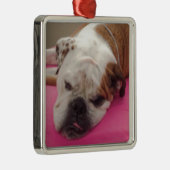 Ornement Métallique English Bulldog (Droite)
