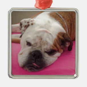 Ornement Métallique English Bulldog