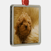 Ornement Métallique Enveloppé caniche (Droite)