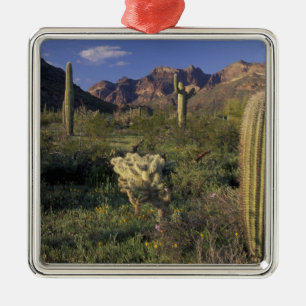 Ornement Métallique États-Unis, Arizona, Monument national d'Organ Pip