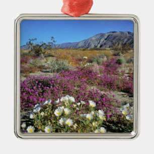 Ornement Métallique États-Unis, Californie, Anza-Borrego DSP. Soirée s