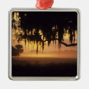 Ornement Métallique États-Unis, Floride, lac Kissimmee. Silhouette au