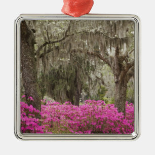 Ornement Métallique États-Unis, Géorgie, Savannah, Printemps à l'histo