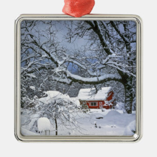 Ornement Métallique États-Unis, Oregon, comté de Clackamas. Neige fraî