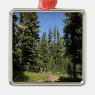 Ornement Métallique États-Unis, Oregon, Forêt nationale de Willamette,