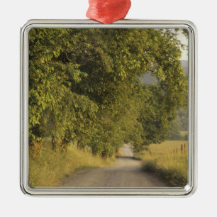 Ornement Métallique États-Unis, Tennessee, Great Smoky Mountains Nati