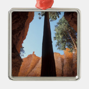 Ornement Métallique États-Unis, Utah, Parc national de Bryce Canyon. H