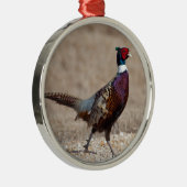 Ornement Métallique Faisan de Ringnecked (Droite)