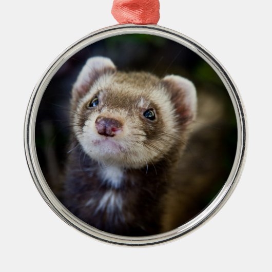 Ornement Métallique Ferret (Devant)