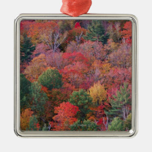 Ornement Métallique Forêt en automne avec le feuillage d'automne. 