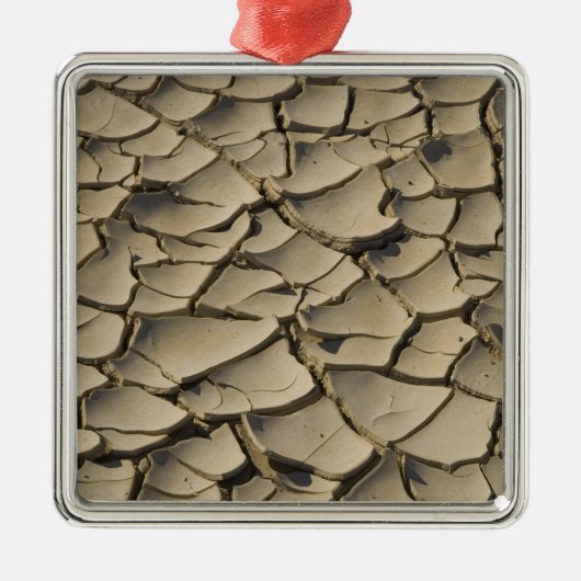 Ornement Métallique Formation de boue craquée dans le plancher de la v (Devant)