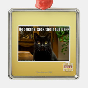 Ornement Métallique Fourrure de Hoomans Taek là ?