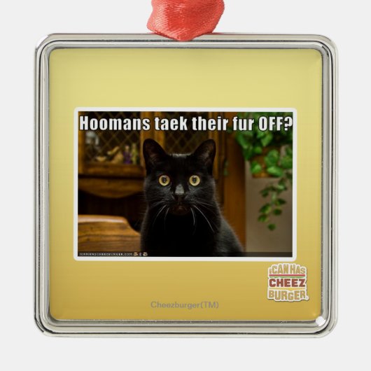 Ornement Métallique Fourrure de Hoomans Taek là ? (Devant)