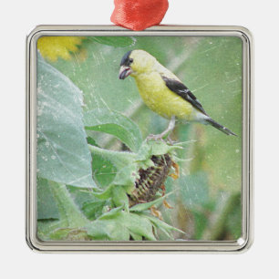 Ornement Métallique Goldfinch Grunge