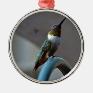 Ornement Métallique Green ruby little hummingbird