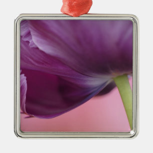 Ornement Métallique Gros plan sur le dessous de la fleur de tulipe, Ku