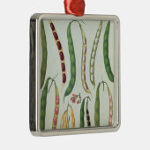 Ornement Métallique Haricots (Droite)