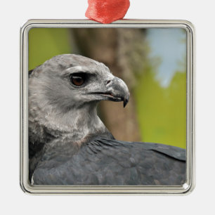 Ornement Métallique Harpie Eagle 1.JPG