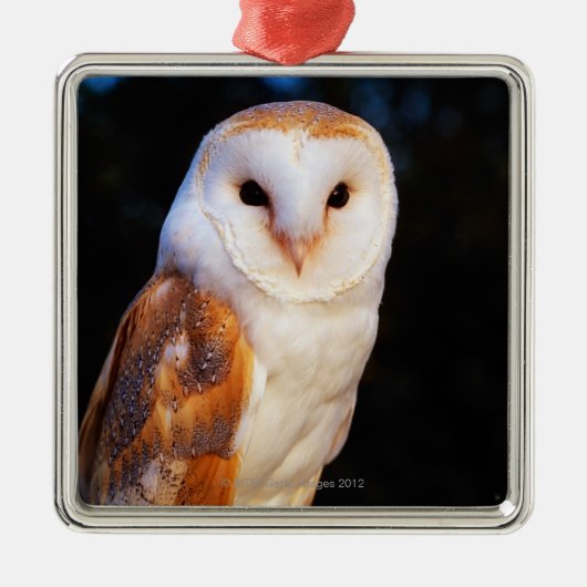 Ornement Métallique Hibou de grange (Devant)