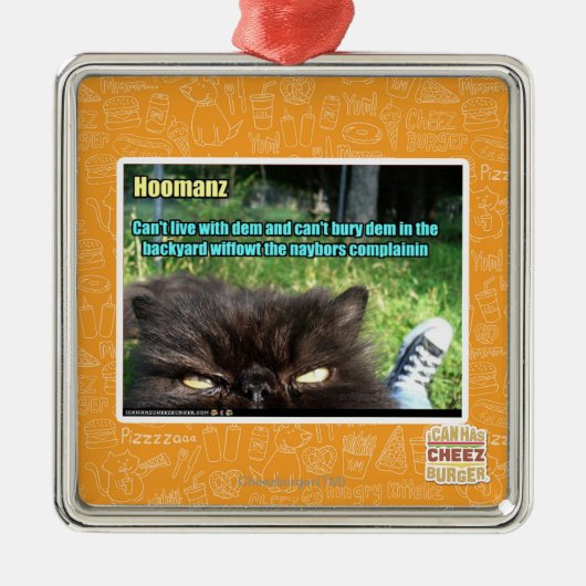 Ornement Métallique Hoomanz (Devant)