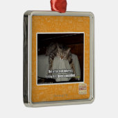 Ornement Métallique Hors du manque d'intérêt (Droite)