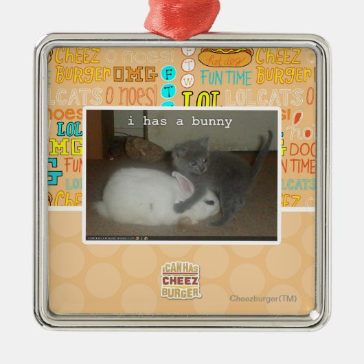 Ornement Métallique I a un lapin (Devant)