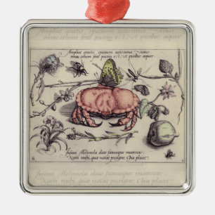 Ornement Métallique Illustration de fleur d'insecte botanique de crabe